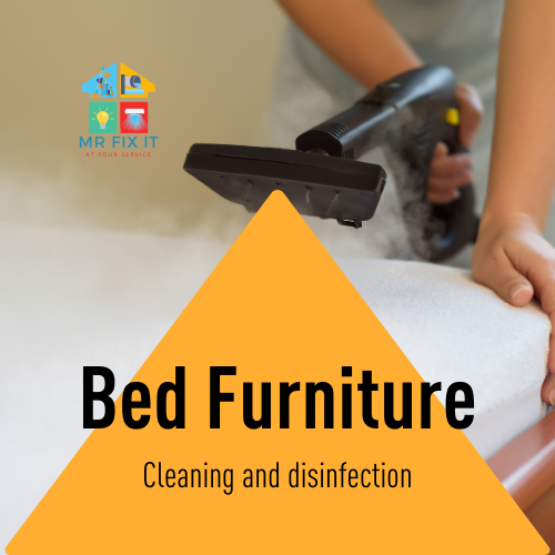 bed bugs clean service new cairo