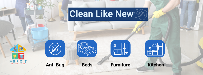 clean service kitchen sofa bed anti bug new cairo